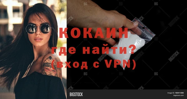 СК Волосово