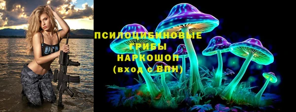 СК Волосово