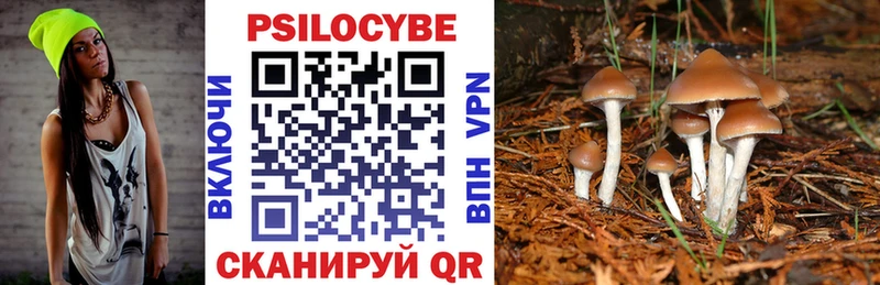Псилоцибиновые грибы мицелий  наркошоп  Тюмень 